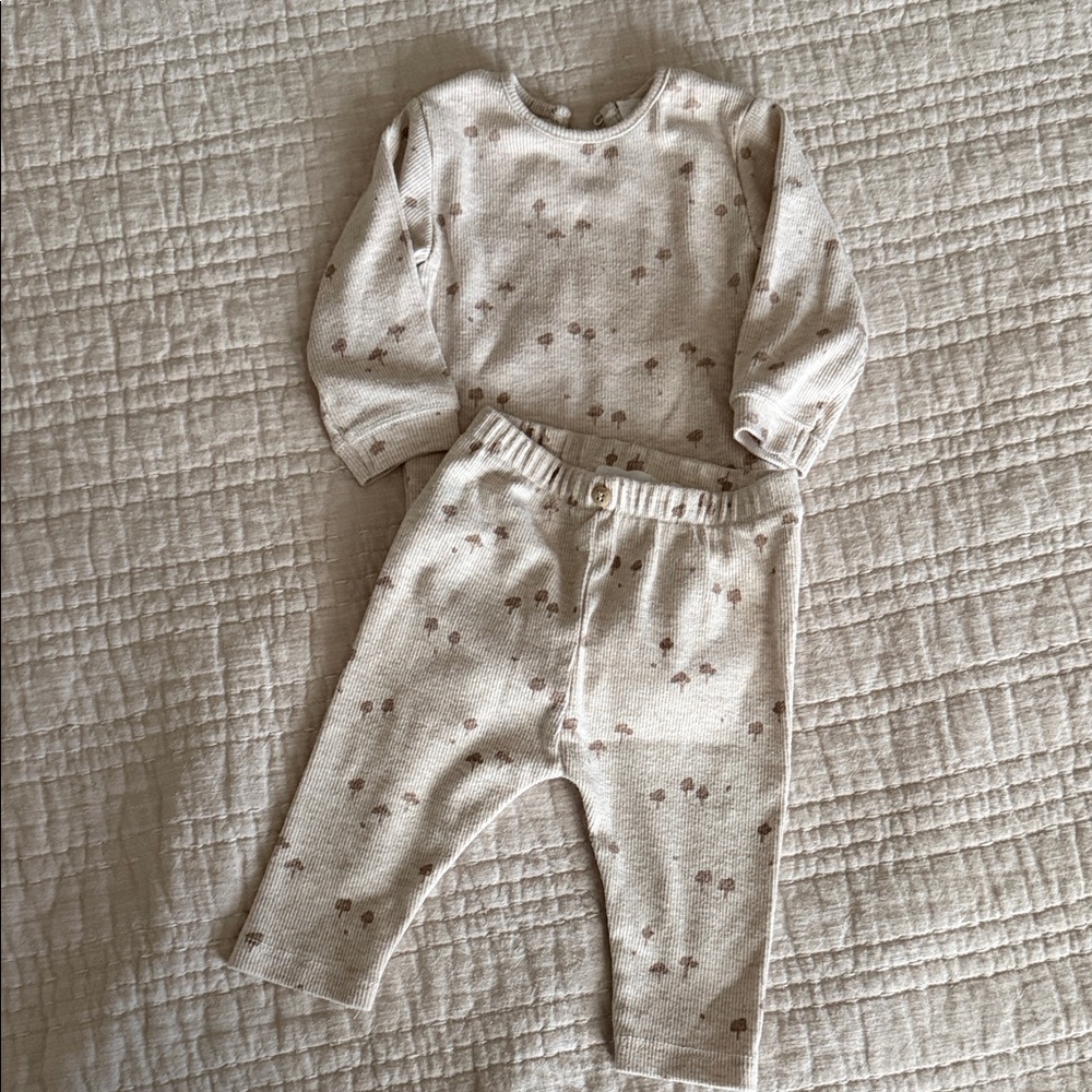 Zara kids Neutral Mushroom Print Kids Set - Beige 1-3M